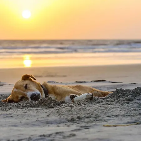 Strandgefluester - Modernes Mit Ostsee- Und Boddenblick Apartamento *