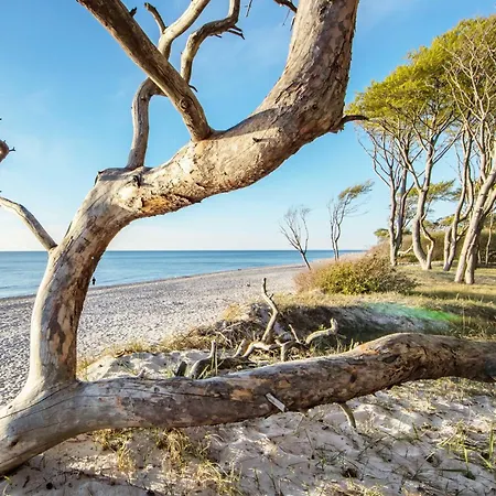 Strandgefluester - Modernes Mit Ostsee- Und Boddenblick * Wustrow (Fischland)