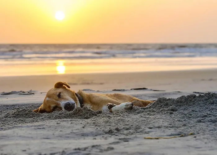 Strandgefluester - Modernes Mit Ostsee- Und Boddenblick شقة *