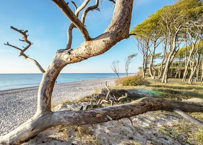 Strandgefluester - Modernes Mit Ostsee- Und Boddenblick * فاستروم